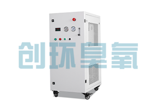 潍坊石斑鱼养殖水质调控完整指南:臭氧发生器配置与操作步骤