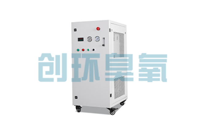 潍坊比传统换水更高效?臭氧发生器在石斑鱼养殖中的水质净化原理解析