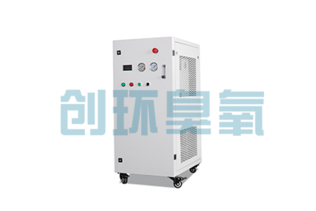 潍坊比传统换水更高效?臭氧发生器在石斑鱼养殖中的水质净化原理解析